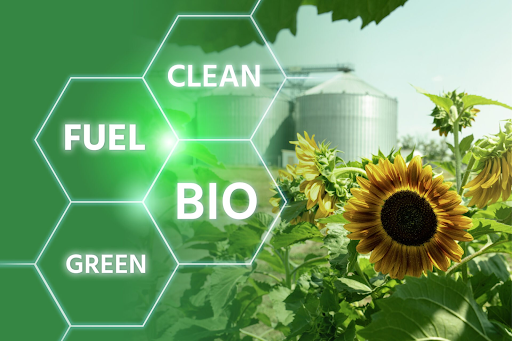 What Is Renewable Diesel and Why It Matters?